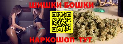 сатива Новозыбков