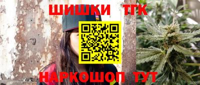 сатива Новозыбков