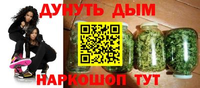 сатива Новозыбков