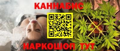 сатива Новозыбков