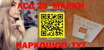 ПСИЛОЦИБИНОВЫЕ ГРИБЫ Новокубанск
