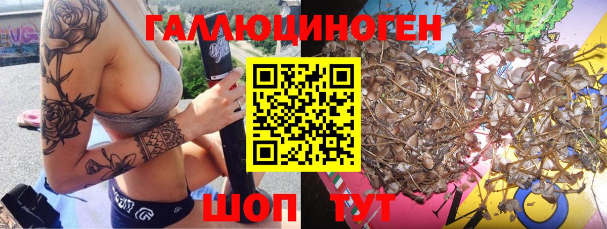 Галлюциногенные грибы прущие грибы  Псилоцибиновые грибы GOLDEN TEACHER  Дюртюли  Вход с VPN 